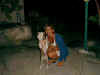 ornella1.jpg (9772 byte)